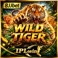 Wild Tiger adventure